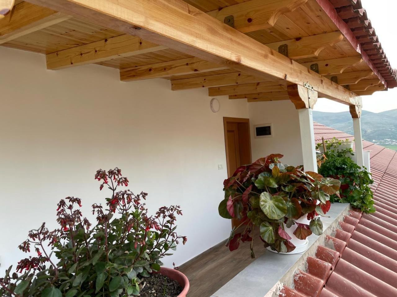 Guesthouse & Hospitality Berat Extérieur photo