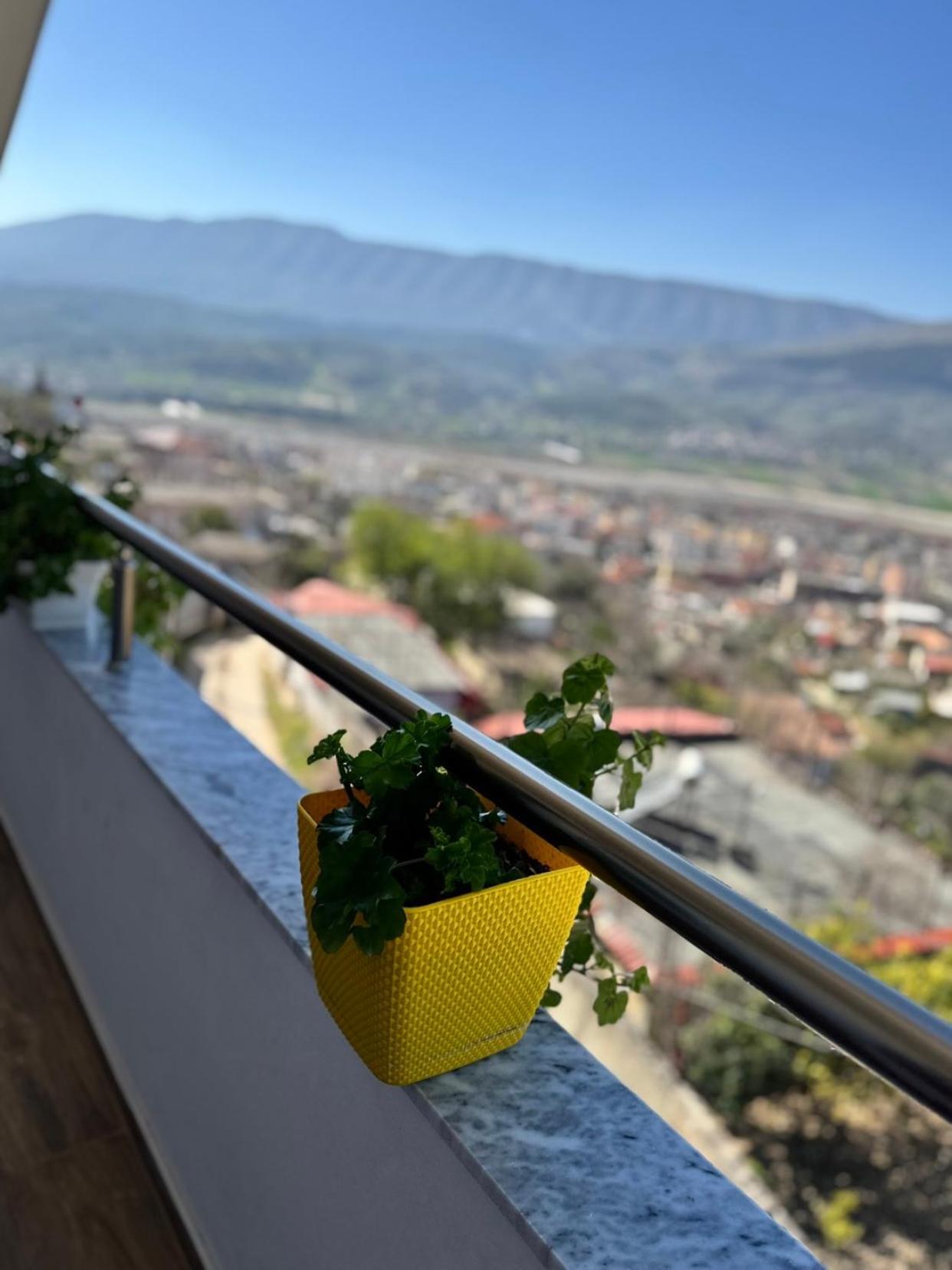 Guesthouse & Hospitality Berat Extérieur photo